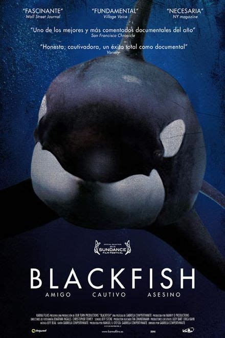 Blackfish Poster