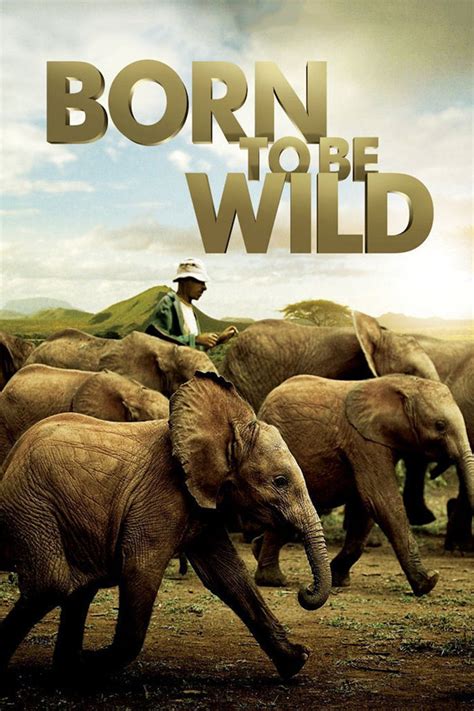 Born to Be Wild Poster