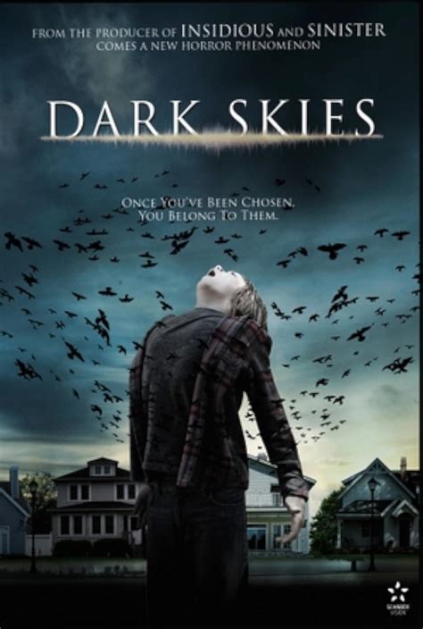 Dark Skies Poster