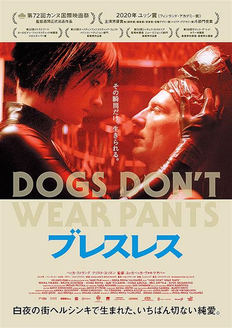 Dogs Don't Wear Pants Poster