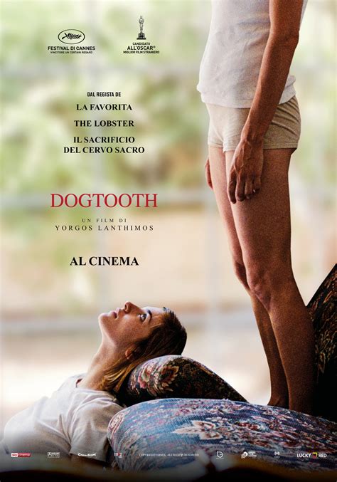Dogtooth Poster