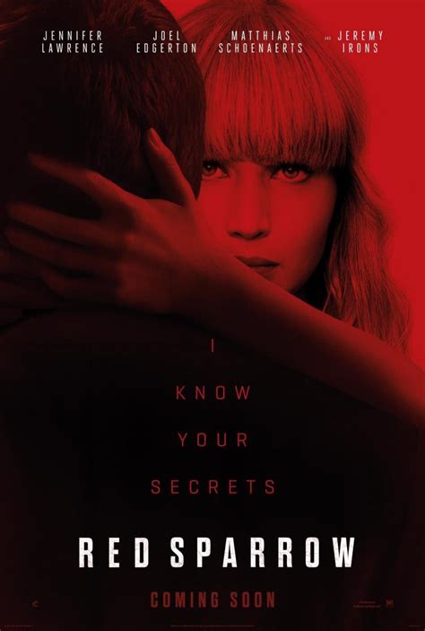 Gorrión Rojo Poster