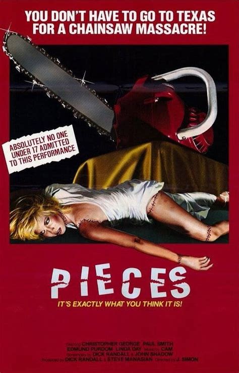 Pieces Poster