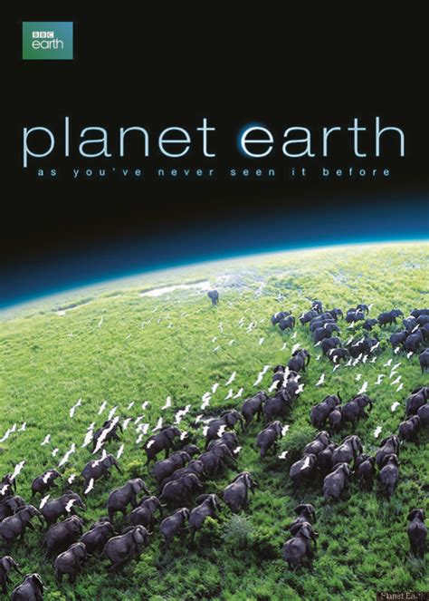 Planet Earth Poster