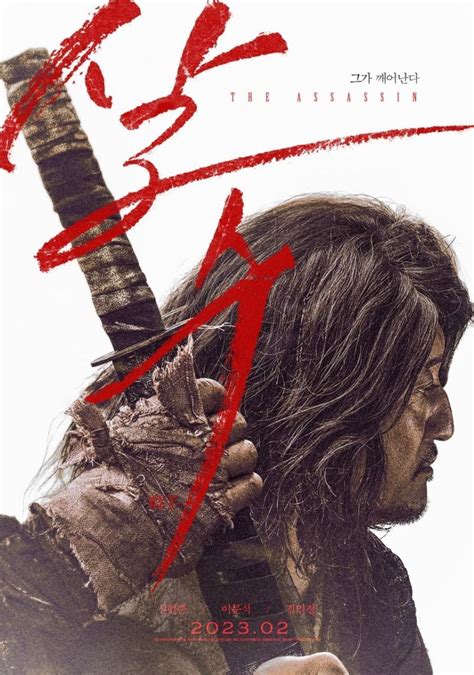 The Assassin Poster