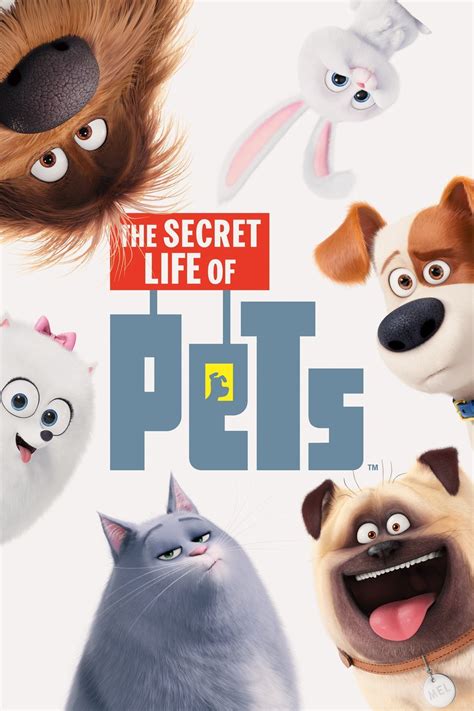 The Secret Life of Pets Poster