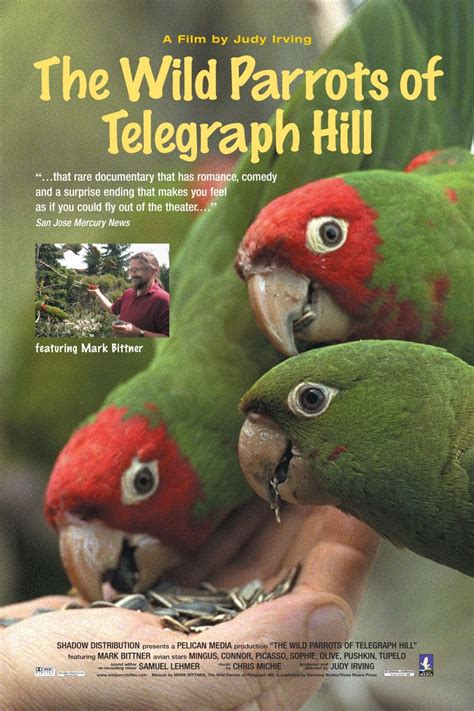 The Wild Parrots of Telegraph Hill Poster