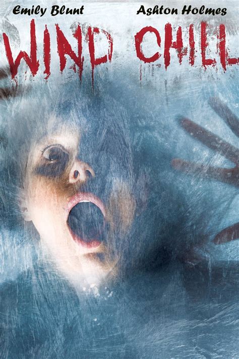 Wind Chill Poster