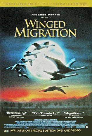 Winged Migration Poster